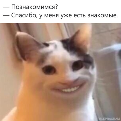 Улыбающийся кот мем