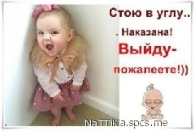 Самка стала в угол Самка стала в угол
