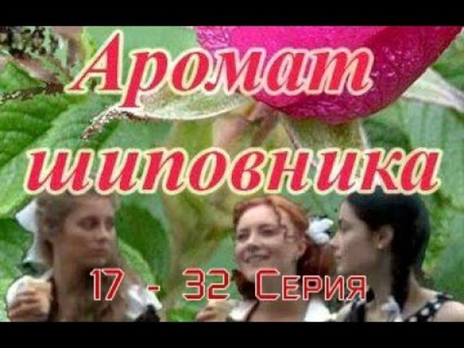 Аромат шиповника 23