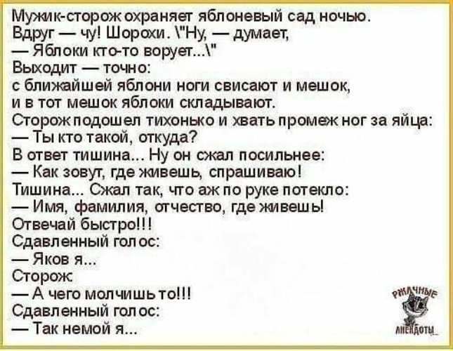 Сторожа или сторожи. Немой я анекдот. Анекдоты про яблоки. Анекдот про глухую. Анекдот про немого.