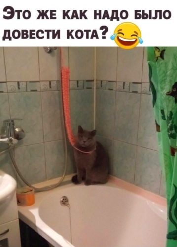 Stream Новогодний Фонк(Prod. by Sauce Hilbert) by Sauce Hilbert Listen online fo