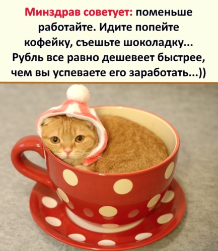Котик в кружке
128
