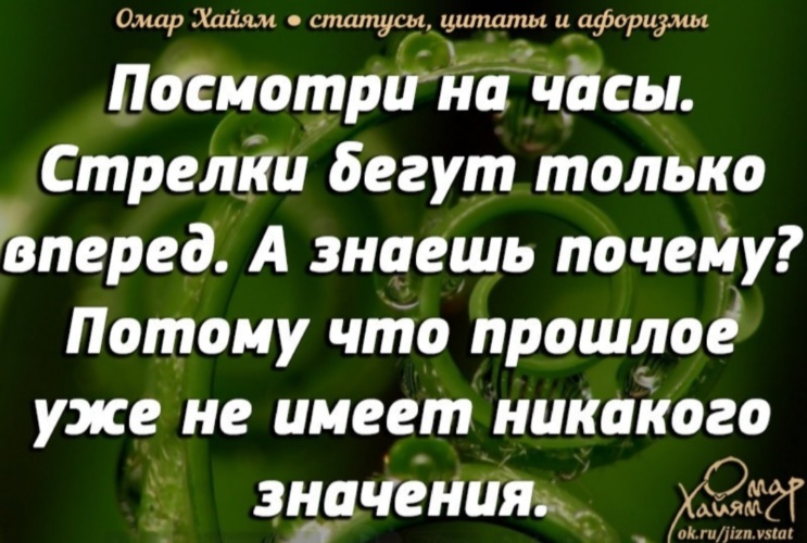 Перед высказыванием. Афоризмы вперед. Только вперед цитаты. Вперед и только вперед цитаты. Высказывания про вперёд.