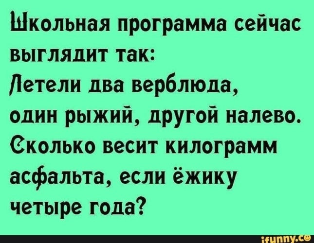 Летят два один другой. Школьная программа сейчас выглядит так. Летели два верблюда один рыжий другой налево сколько. Летели два верблюда. Летели два верблюда один рыжий.