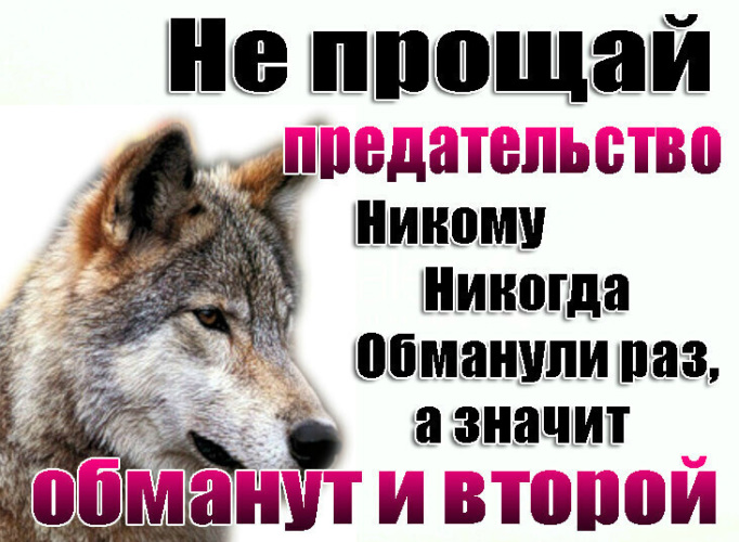 Всегда предатели. Вокруг предатели. Прощай предатель. Вокруг одни предатели. Предателе вокруг предатели.