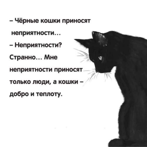 Черный кот минус
