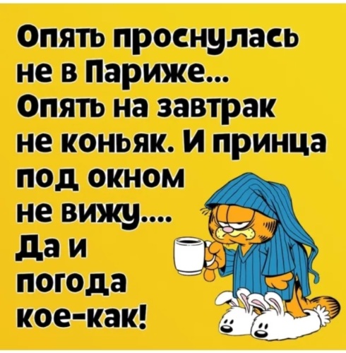 Ты опять проспал все лета без мата. Опять проснулась не в Париже картинка. Опять проснулась не в Париже опять на завтрак картинки. Опять проснулась не в Париже.