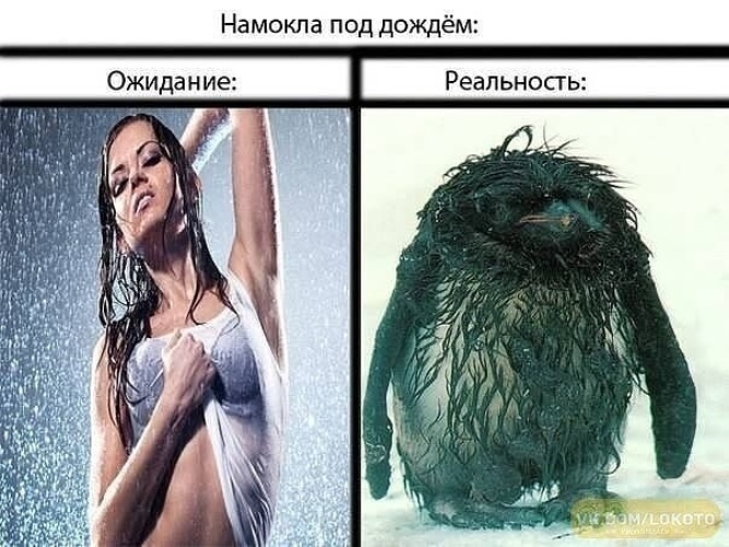 Когда красотке подруга рассказывала про мощный золотой дождик она очень сильно намокла Когда красотке подруга рассказывала про мощный золотой дождик она очень сильно намокла