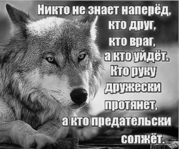 Отличать враги. Кто друг кто враг кто просто так. Кто друг АСКТО враг. Чтобы понять кто друг кто враг. Кто друг кто враг кто просто так картинки.