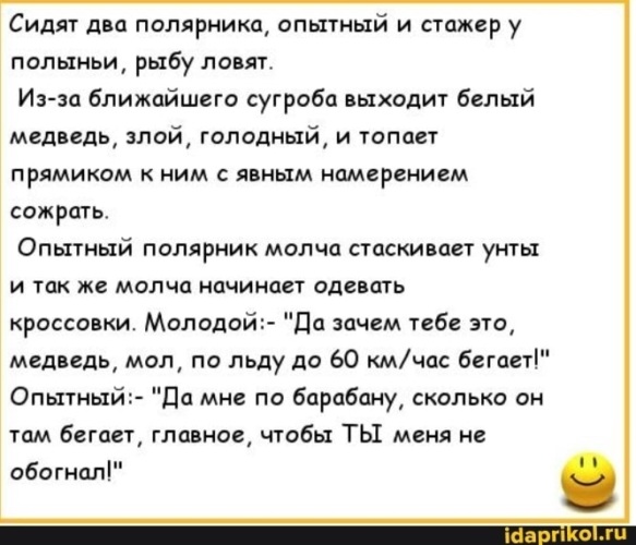 Анекдот про медведя иди сюда. Анекдот про медведя. Анекдоты про медведей смешные. Анекдот про медведя и охотника. Анекдот про медвежонка.