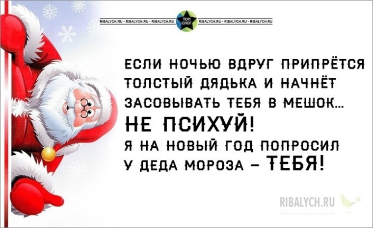 2019 год статусы. Анекдоты про новый год. Смешные цитаты про новый год. Статусы про новый год прикольные. Смешные цитаты пароновый год.