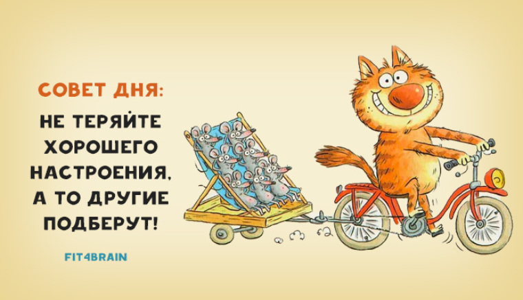 Совет Дня Картинки