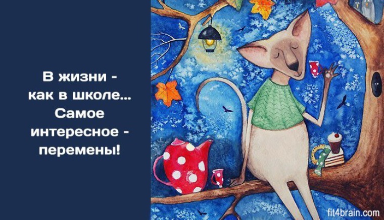 Самое главное интересное. Философские высказывания позитивные. Перемены к лучшему открытки. Перемены в жизни. В жизни как в школе самое интересное перемены.