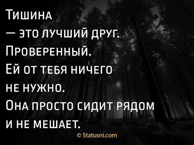 Дела любят тишину. Тишина лучший. Тишина друг. Тишина лучший друг. Тишина лучший друг Проверенный.