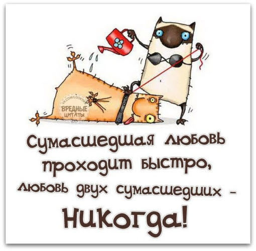 Я не хочу тебе вредить 31