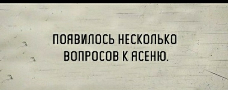 Я спросил у ясеня. Юмор - спросил у ясеня. Ясень юмор. Шутки про ясень. Ясень хуясень.