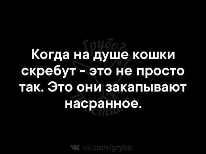 Скребут кошки на душе