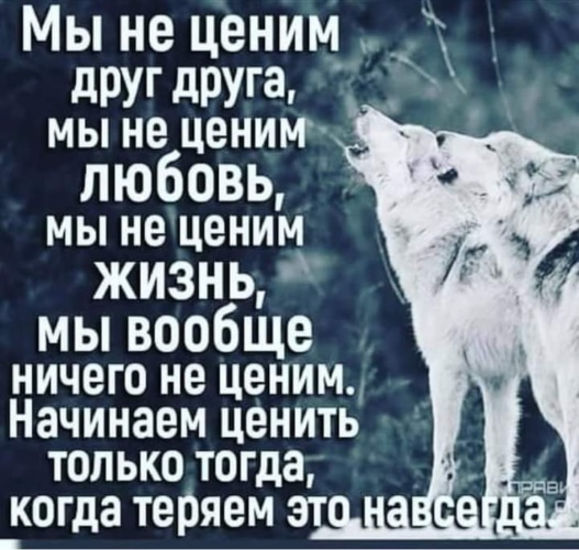 Цените время когда можно спрятаться за спину мамы потом будешь жить на сквозняках картинка