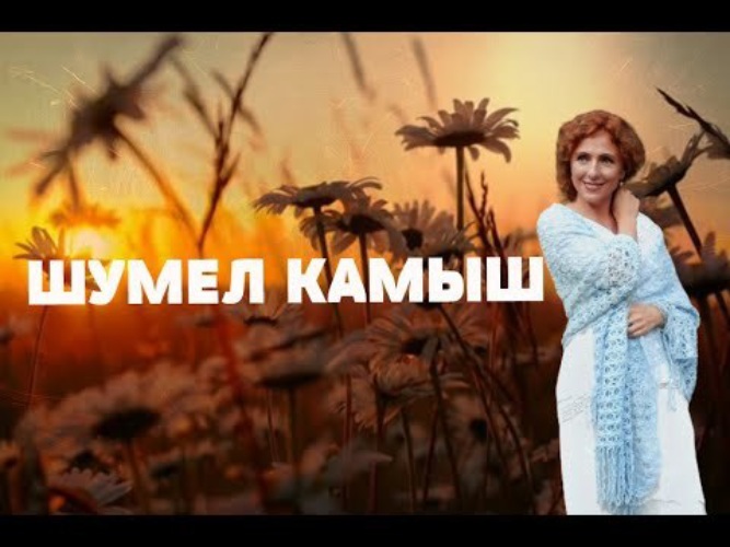Шумел камыш. Шумел камыш где послушать. Шумел камыш текст песни. Шумел камыш деревья гнулись. Шумел камыш.