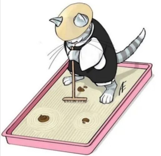 Учусь жизни у кота