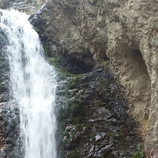 Фотография мужчины Medeu, 45 лет из г. Бишкек