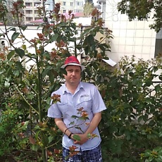 Фотография мужчины Николай, 36 лет из г. Березовский (Свердловская Обл)