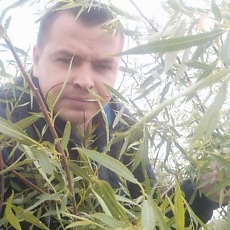 Фотография мужчины Вова, 42 года из г. Мозырь